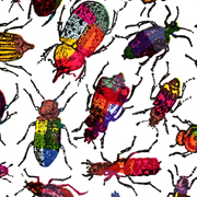 small beetles