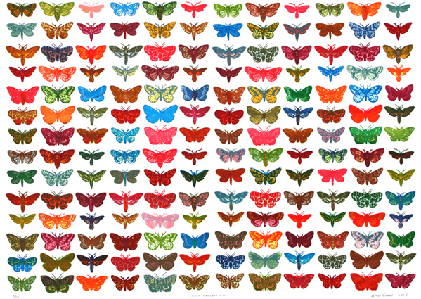 xl moths